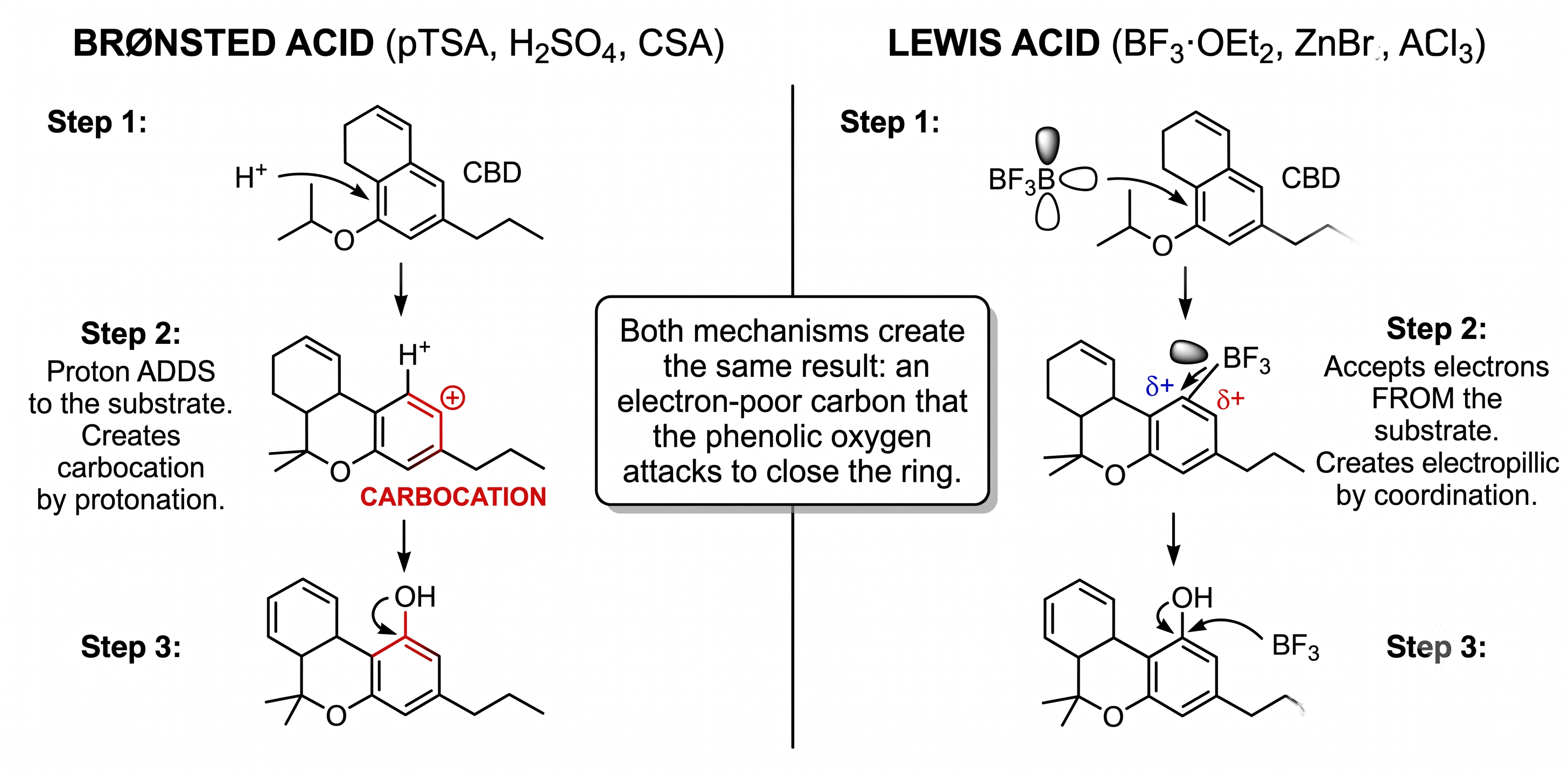 Brønsted vs Lewis Acid Activation