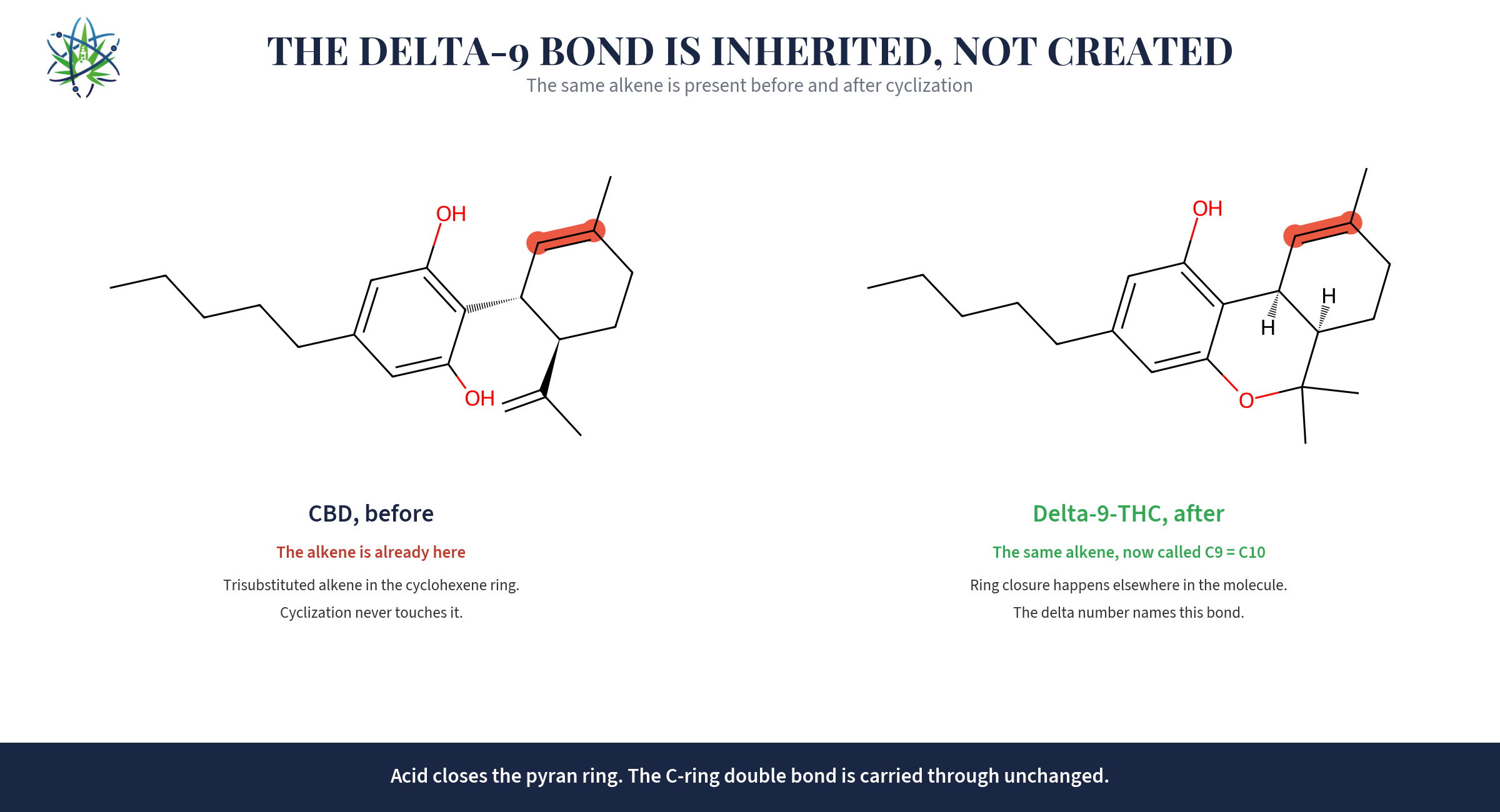 The Δ9 Double Bond Is Inherited, Not Created
