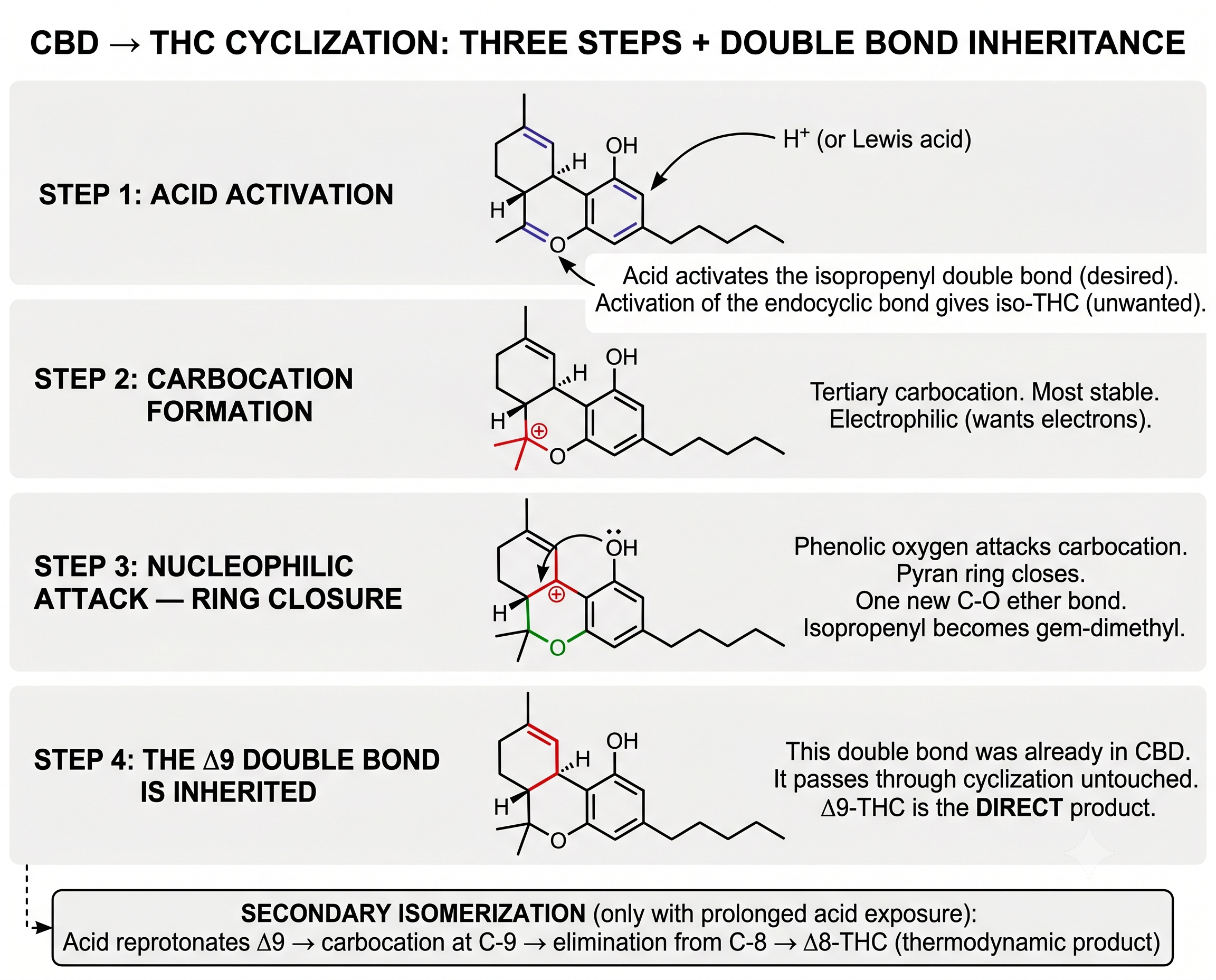 CBD to THC Cyclization — Three Steps Plus Double Bond Inheritance