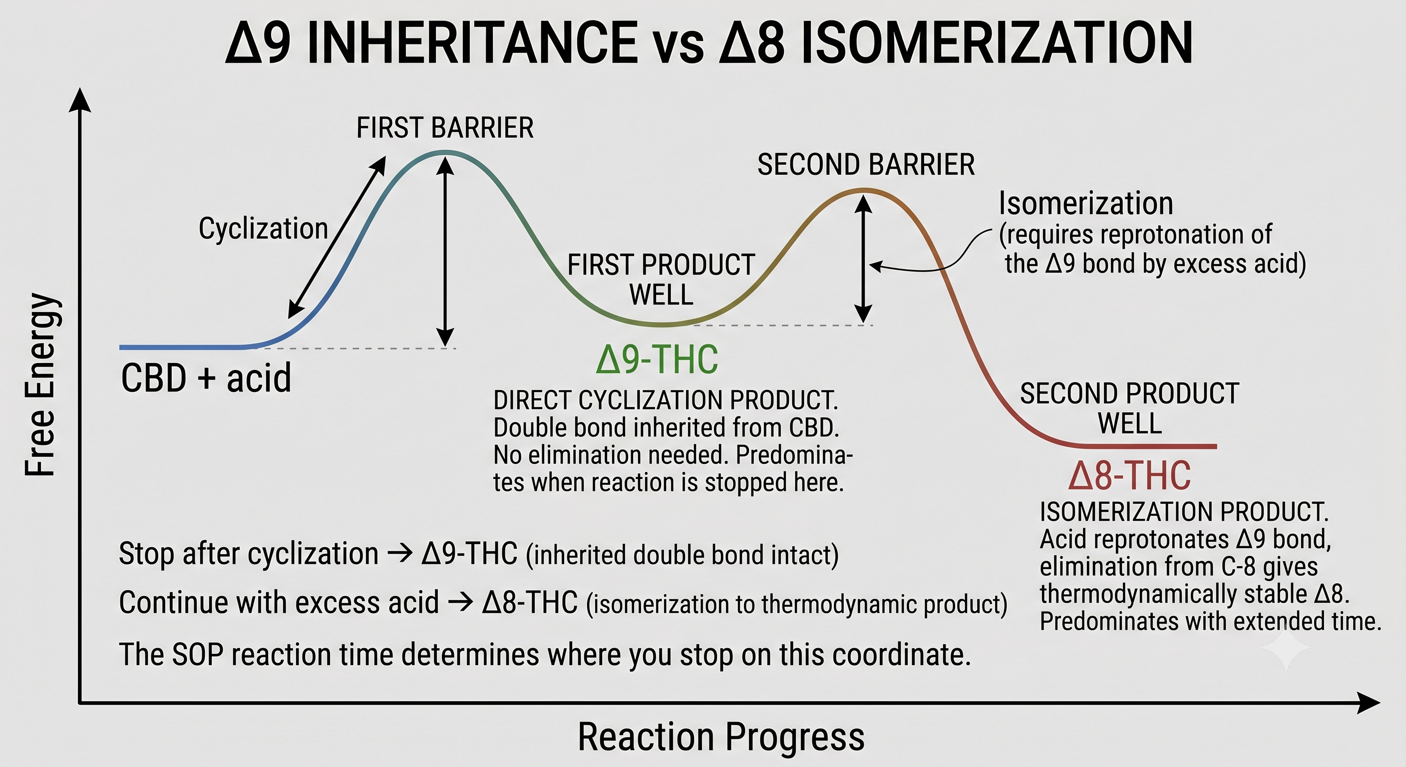 Δ9 Inheritance vs Δ8 Isomerization — Energy Diagram